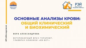 Основные анализы крови: общий клинический и биохимический