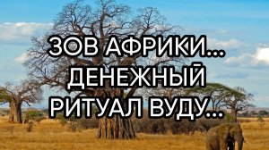 ЗОВ АФРИКИ...ДЛЯ ВСЕХ...