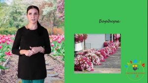 урок 3 Садовый дизайн. Виды цветников (клумбы, бордюры, рабатки, миксбордеры, модульные цветники).