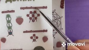 Как понимать схемы амигуруми из бисера?Первая часть видео на @Caxarok12211 #подпишись