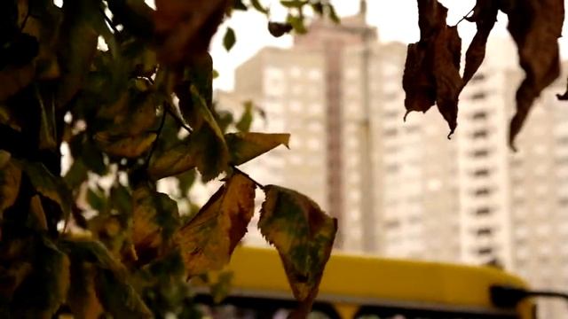 Samsung NX100 sample video 2 (shallow DOF) смотреть онлайн