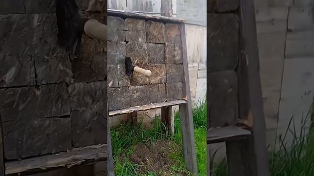 Метание_топора1.mp4