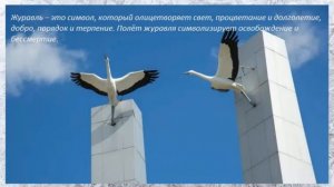 Белые журавли