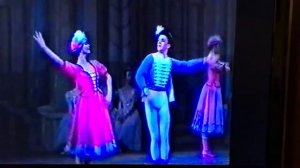 Венгерский танец из балета « Лебединое озеро»