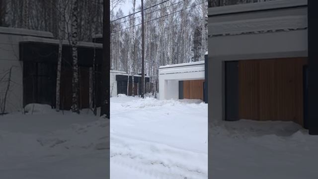 Коттеджный поселок Шишкино в сосновом лесу зимой, Новосибирск