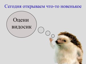 Ручной измельчитель для овощей и фруктов