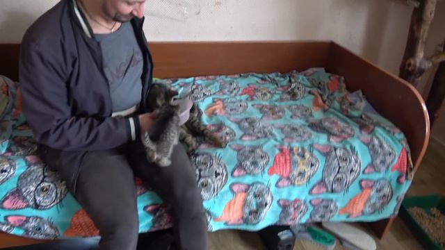 Пиратик обрел семью! 😻 КОТОЖИЗНЬ!