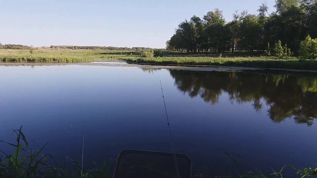 Охота рыбалка в Ростовской области смотреть онлайн
