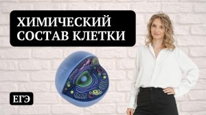 Химический состав клетки