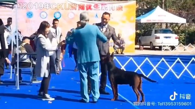 Laizhou hong смотреть онлайн