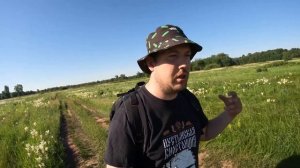 Кирказон - растение провоцирующее онкологию