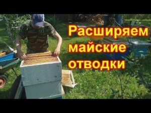 Расширяем майские отводки