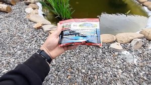 Средство для пруда от цветения воды