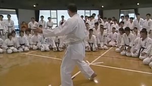 Семинар Сейджи Нишимура по технике кумите. Ч 4.