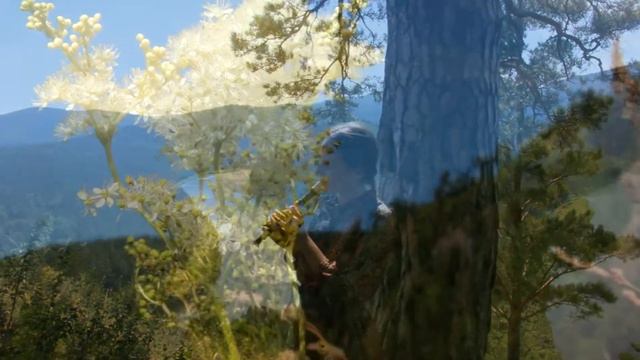 Нарьяна - волною. Музыка души. Река Мана. Сибирь. mp4 смотреть онлайн