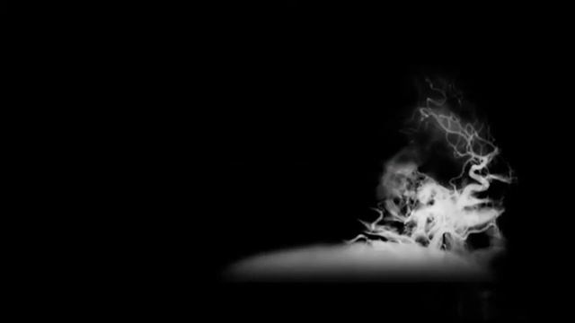 PHOBOPHOBIA (fear of love) смотреть онлайн