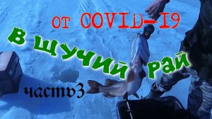 На РЫБАЛКУ от COVID-19 В ЩУЧИЙ РАЙ.(часть 3).mp4