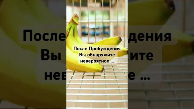 После Пробуждения Вы обнаружите невероятное … #пробуждение #просветление