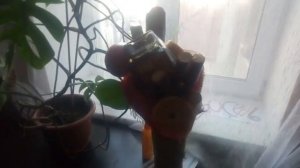 Мужской букет цветов в день рождение ))))))
