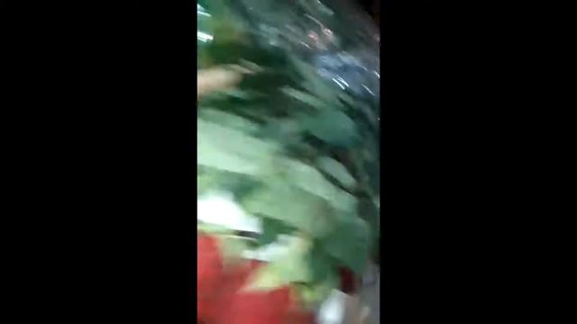 Мадина из города Назрань получила цветы от нашей компании 2flora! ???