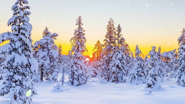 Божественная музыка трогает сердце! Хочу слушать вечно! Отличная музыка Сергей Грищук #13 смотреть онлайн