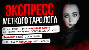 Экспресс ответы Меткого Таролога