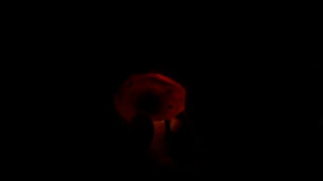 ЧТО ВНУТРИ ЯЙЦА ЗМЕИ? Как проходит инкубация - Вскрываем испорченное яйцо / Cutting open spoiled eg смотреть онлайн