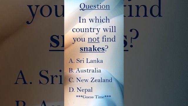 No SNAKES in this country?  #nosnakes #animal #australia #newzealand