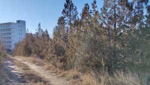 Прогулка к озеру Кагул, Молдова.(2)