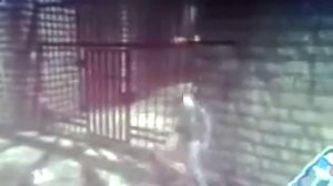 Обзор на игру - Let It Die