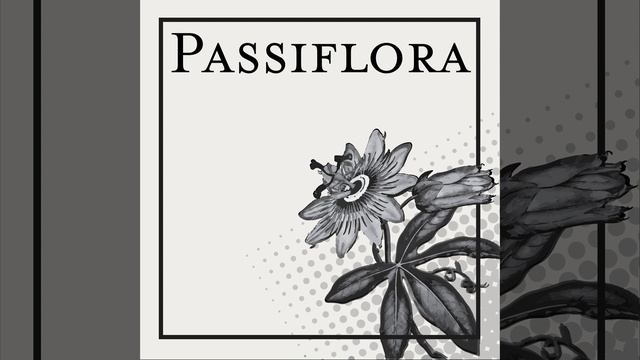 Know Now смотреть онлайн