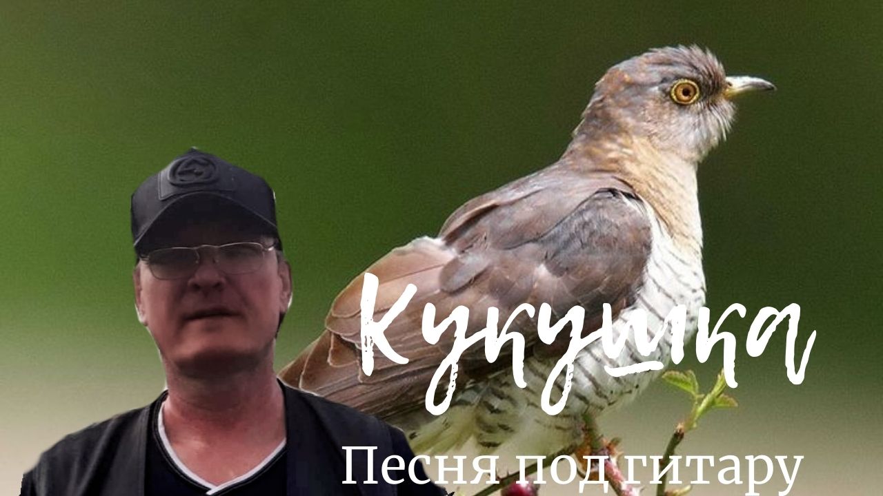 Кукушка ремикс