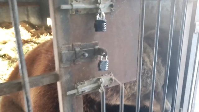 04.12.22. #машахулиганяша на 15 минут "просыпаша"... смотреть онлайн