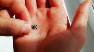 Как сделать электрическую зажигалку