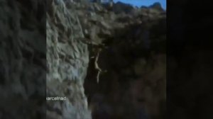 Как орел бросает козла с горы.....   Like an eagle throwing a goat down a mountain.....
