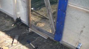 Рассадник для клубники