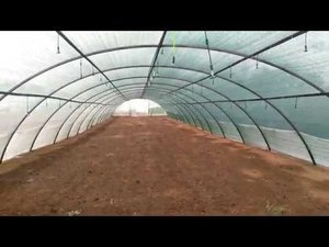 Туман для кассетной рассады
