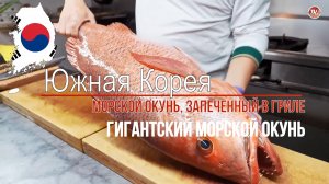 Гигантский морской окунь. Морской окунь, запеченный в гриле / СербаТВ 🔴