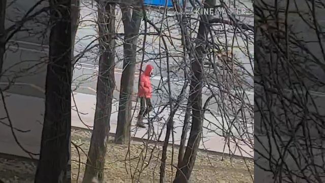 Сергей Светлов Память