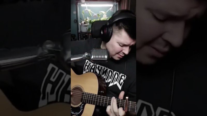 Nautilus Pompilius Прогулки по воде (cover by @SvoiSvoim)