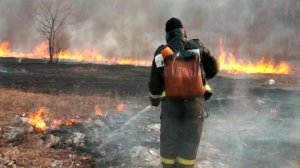 Для борьбы с лесными пожарами МЧС России наращивает группировку сил