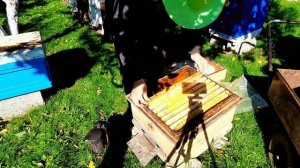 Какие рамки оставлять пчелам на зиму.как собрать гнездо пчел в зиму.