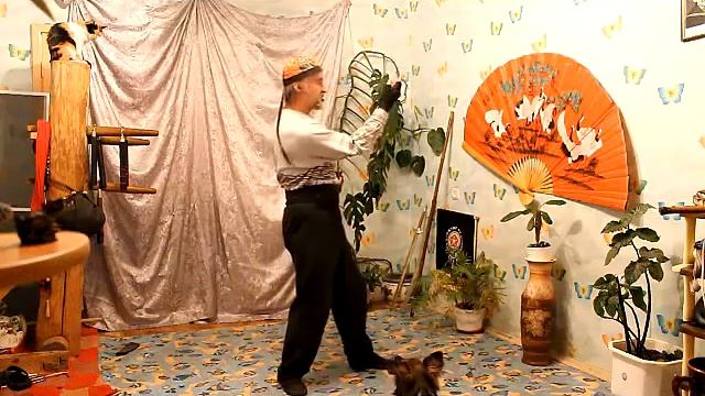 о маятнике 1 кунг фу смотреть онлайн