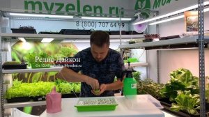 Лотки для микрозелени. Идеальное решение для дома!