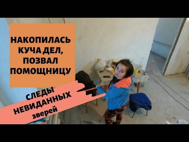 ПЕРЕЕЗД В ДЕРЕВНЮ | ДЕРЕВЕНСКИЕ ХЛОПОТЫ #купилдомвдеревне #переездвдеревню #деревенскиехлопоты