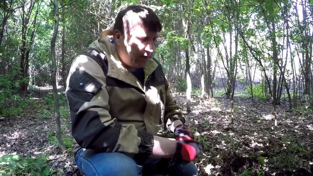 Коп в лесу или поиски золотого клада смотреть онлайн