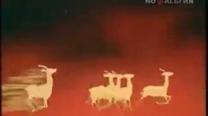 В мире животных заставка 1974 2000 In fauna prompt 1974 2000