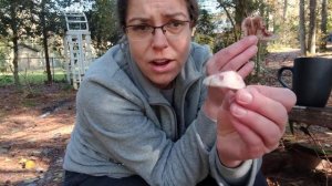 How to ID Hygrophorus russula