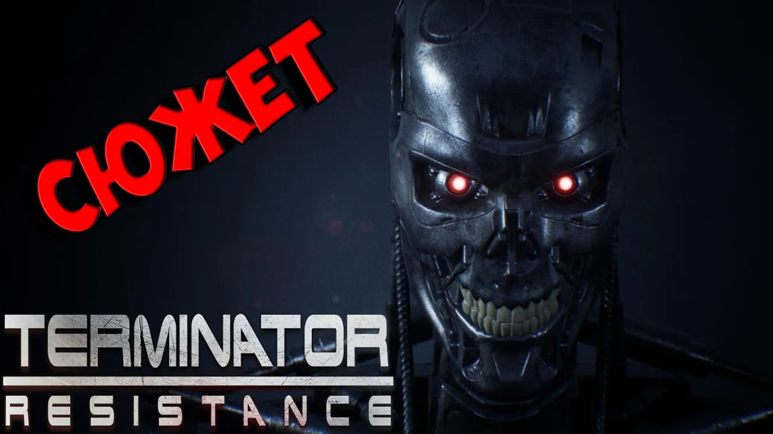 Terminator resistance обзор