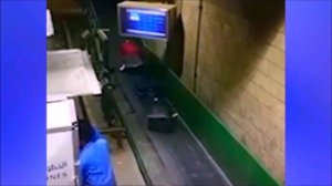 31.ВЫГРУЗКА БАГАЖА В АЭРОПОРТУ